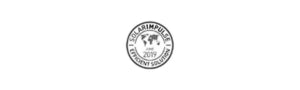 Logotipo de Solar Impulse, sello de soluciones eficientes y sostenibles desde 2019.