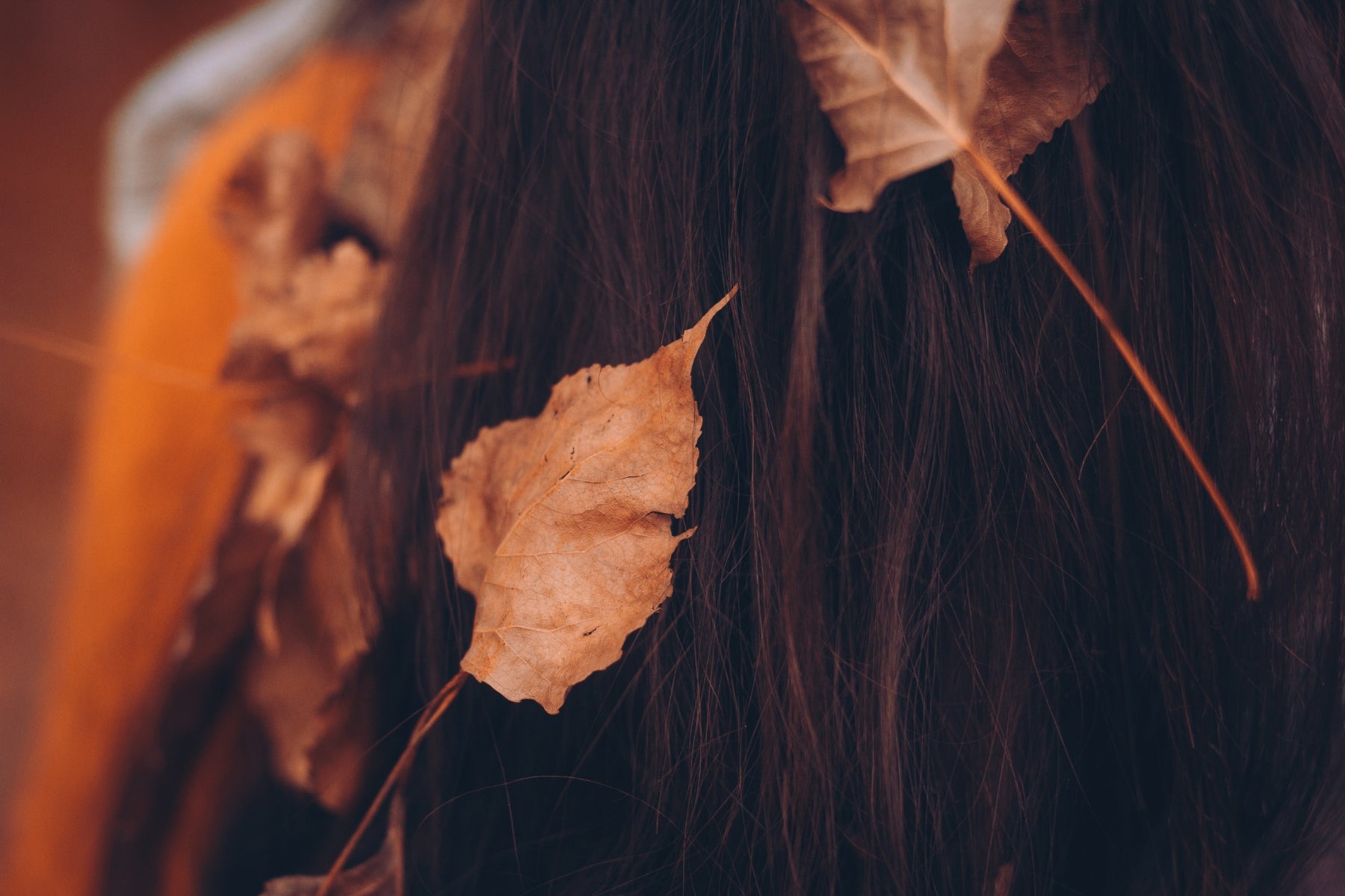 Cabello en otoño