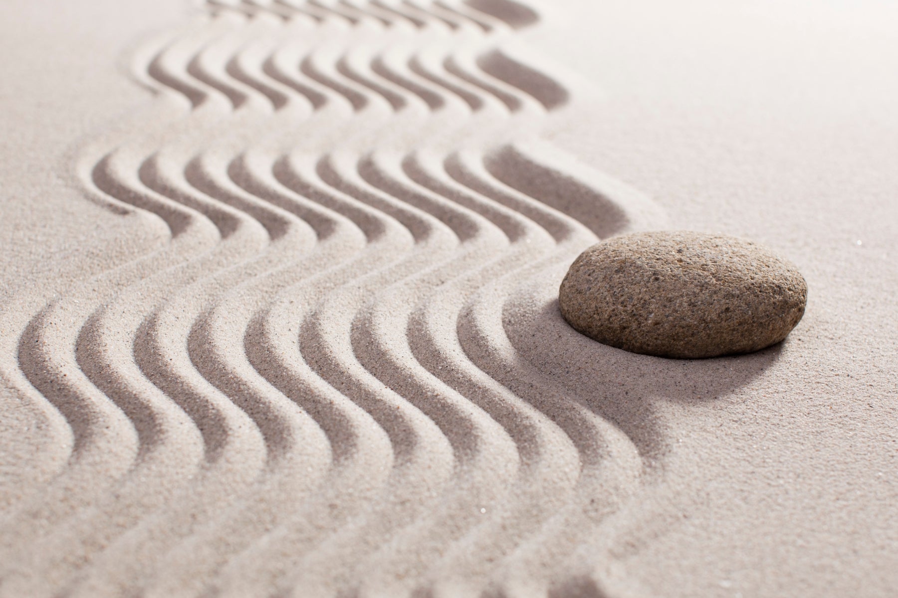 Las 8 dimensiones del bienestar: guía práctica para entenderlas y aplicarlas en tu día a día