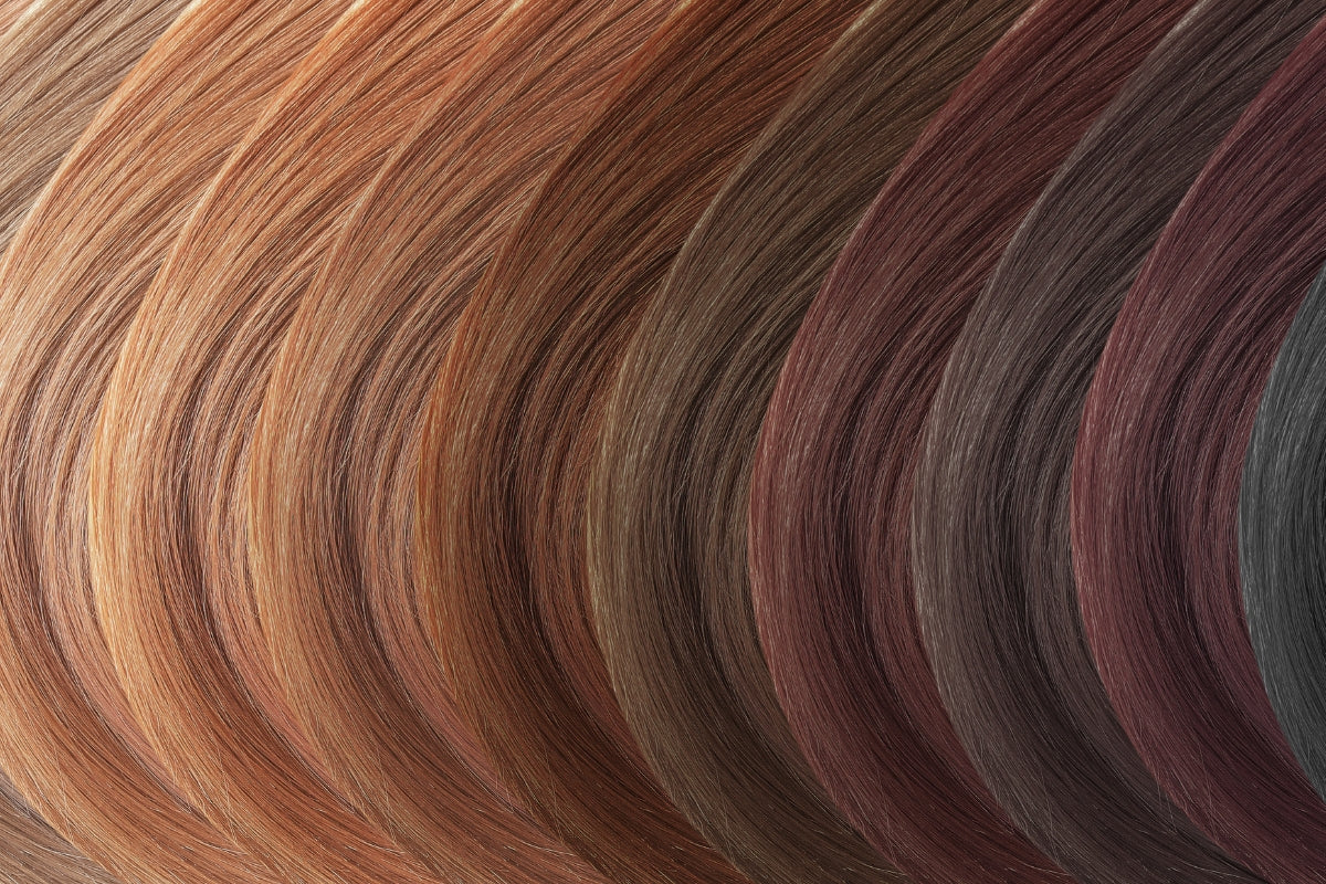 Imagen de cabello teñido, mostrando un color vibrante y saludable gracias a los productos Modesta Cassinello.